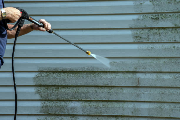 Best Roof Washing  in Vauxhall, NJ